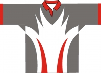 008 Chinese Business Directory Serivce