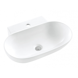 TB245B Above Counter / Wall Mounted Basin 565*400mm