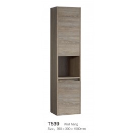 T539 Wall Hung Cabinet